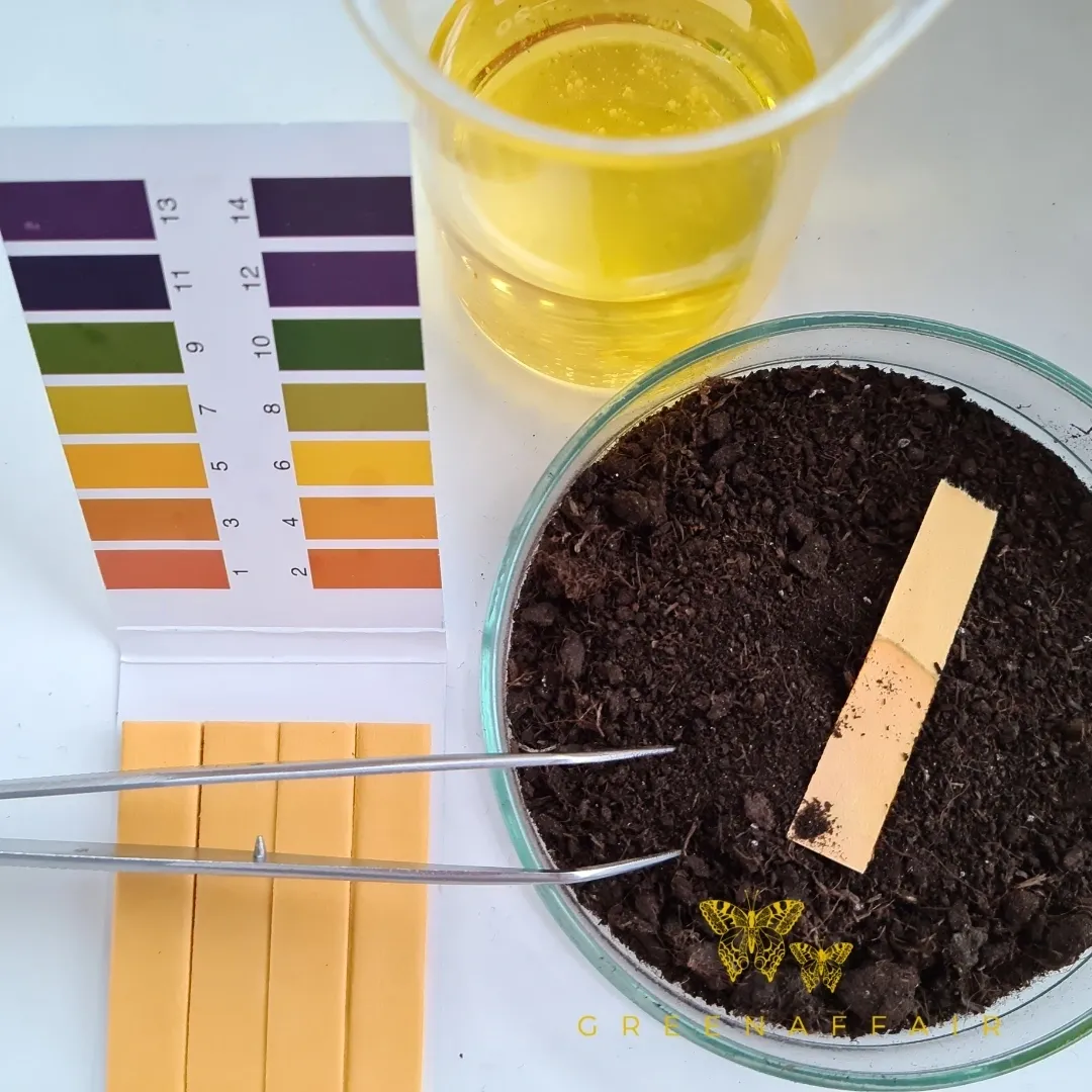 Understanding your soil's Chemistry is key to growing healthy, thriving plants.