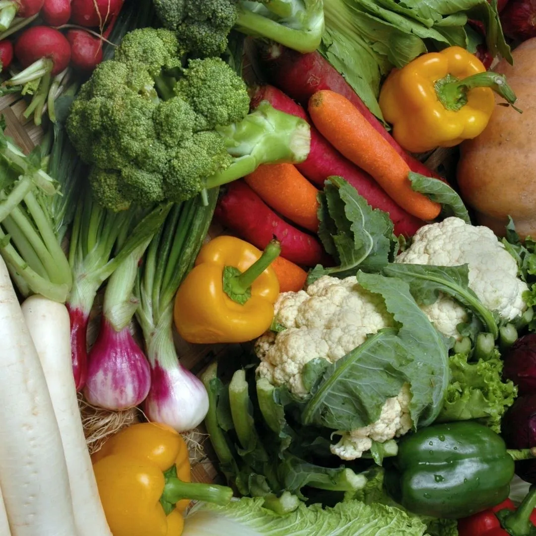  "Winter Veggie Wonderland: December Gardening Delights! 🥦🥕🌱"