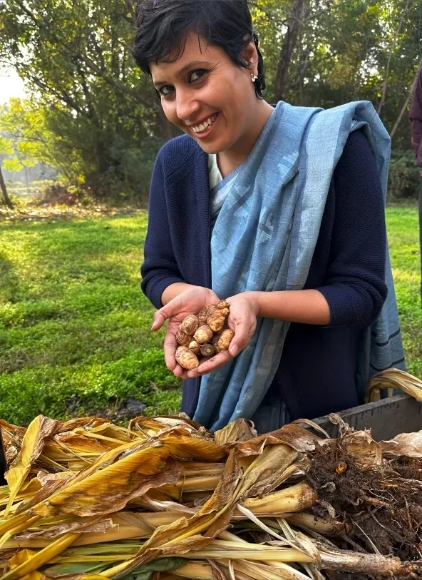  "Embrace the golden glow of wellness with nature's treasure, turmeric! ✨🌿 #GoldenGoodness #TurmericMagic"