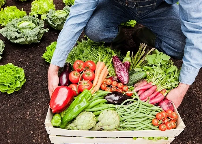  "Savor the Extraordinary in Every Bite 🌱✨ #NourishFromNature"