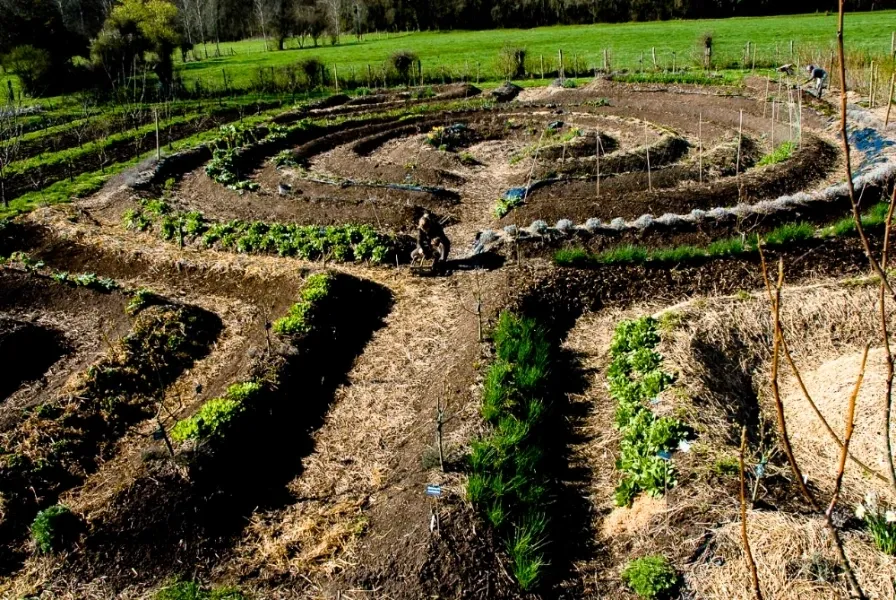 "Greenaffair: Nurturing the Soil, Nourishing the Soul, and Creating a Regenerative Revolution 🌱🌍"