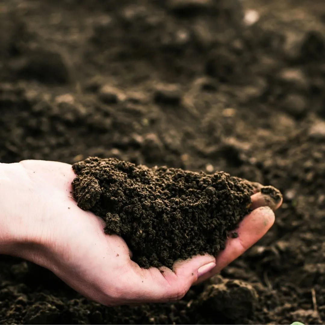  "Dig Deeper into Soil Health: Unraveling the Mystery of Cation Exchange Capacity (CEC) 🌱💧 Discover how CEC influences nutrient availability and fosters thriving gardens! 🌿 #SoilNutrients #GardeningInsights #SustainableLandscapes"