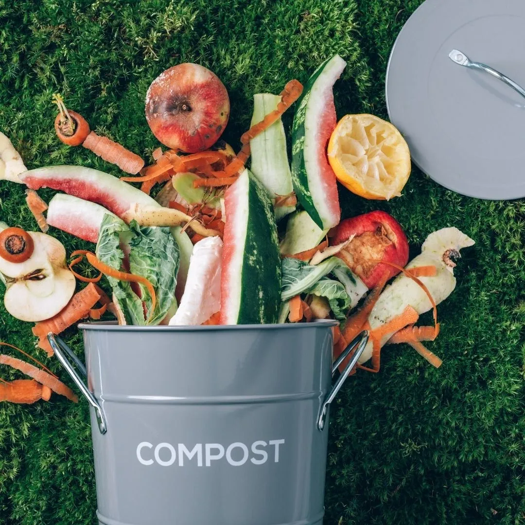  "Compost Tea: Nurturing Gardens, Enriching Soil, and Cultivating Green Knowledge 🌱🌿 #SustainableGardening #SoilAmendments #GreenThumb"