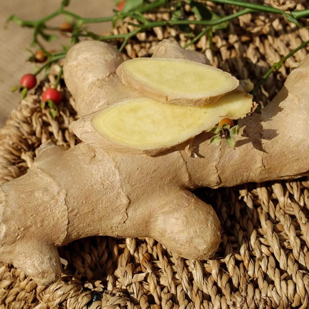 The image features a ginger root, which is a beige-colored, knobby root vegetable. The ginger root is positioned on a wooden cutting board, and several slices of the root are also placed on the board beside it. The slices are thin and translucent, revealing the fibrous texture of the ginger. The overall scene conveys the freshness and natural beauty of ginger, which is commonly used as a flavoring and medicinal ingredient in many cuisines around the world. Whether you're a fan of ginger or just discovering its benefits, this image is a feast for the eyes and a useful reference for identifying this vers