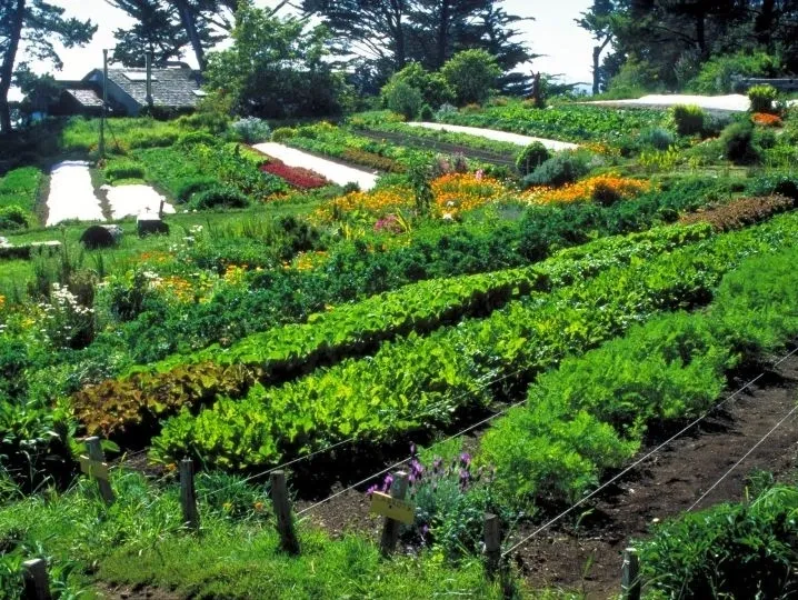 Farm landscape