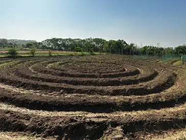 Soil biology work