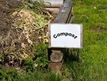 Soil biology work