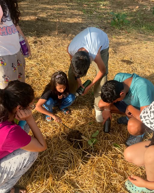 Children's Nature & Soil Camps