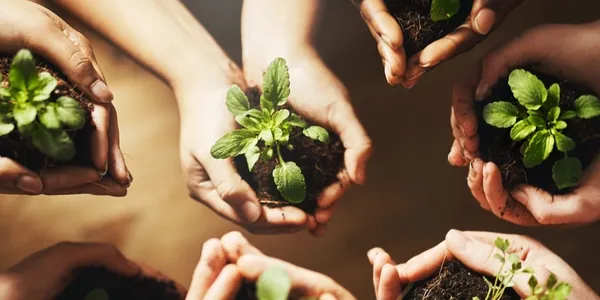 Corporate Sustainability Workshop